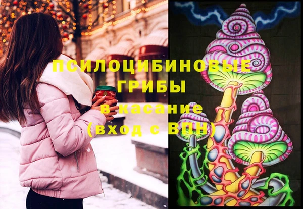 2c-b Михайловск