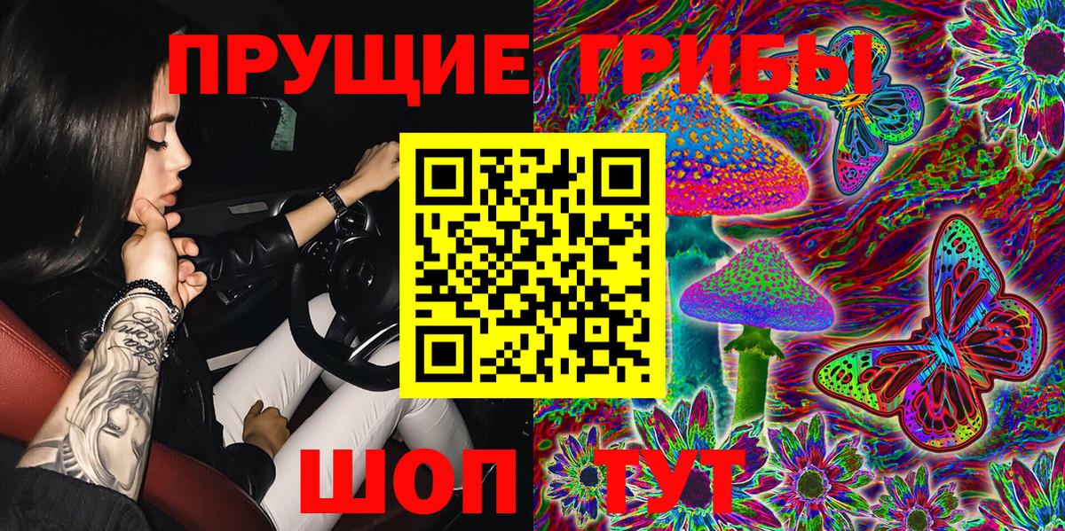 Псилоцибиновые грибы GOLDEN TEACHER Елабуга