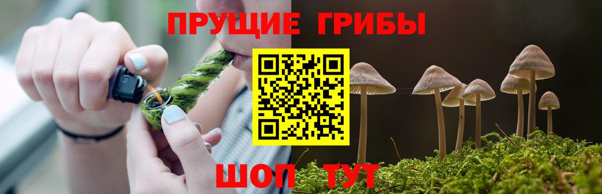 Галлюциногенные грибы Cubensis Елабуга