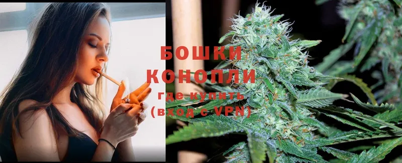 Бошки марихуана SATIVA & INDICA  где можно купить   Елабуга 